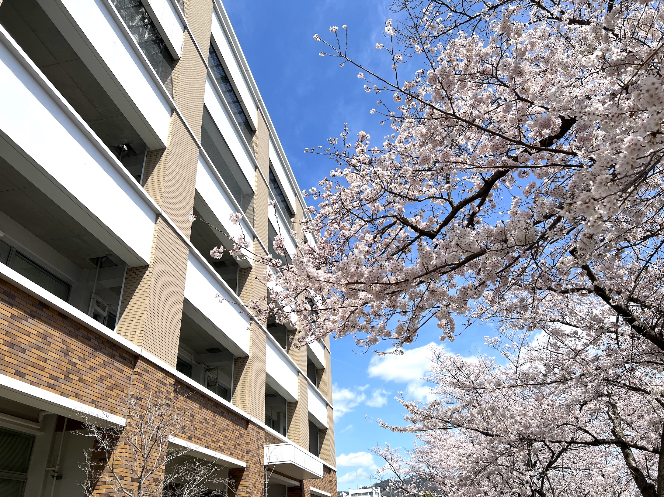 神戸大学3Dスマートものづくり研究センター